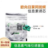 欧向日葵同斑螟诱芯